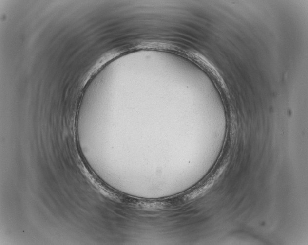 X0000086091041200704202211