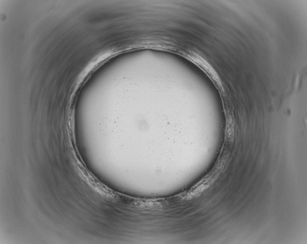 X0000086091043200704202211