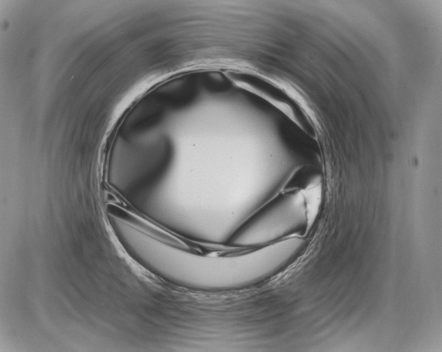 X0000086091046200704202211