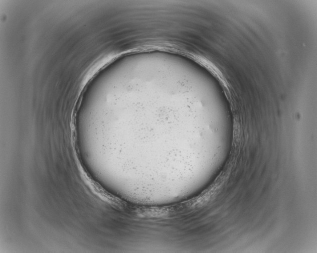 X0000086091047200704202211