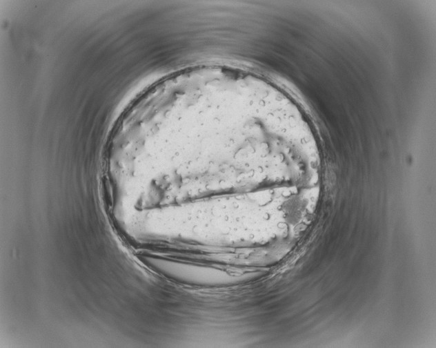 X0000086091048200704202211