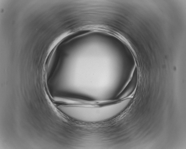 X0000086091050200704202211