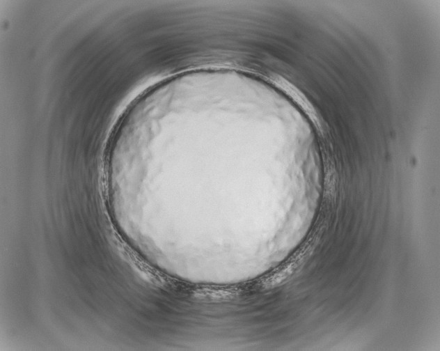 X0000086091051200704202211