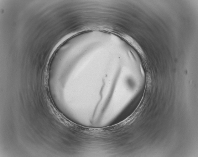 X0000086091052200704202211