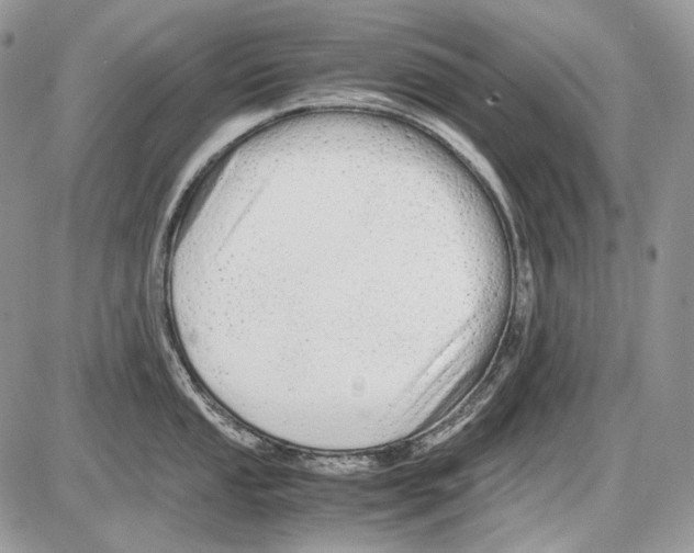 X0000086091053200704202211