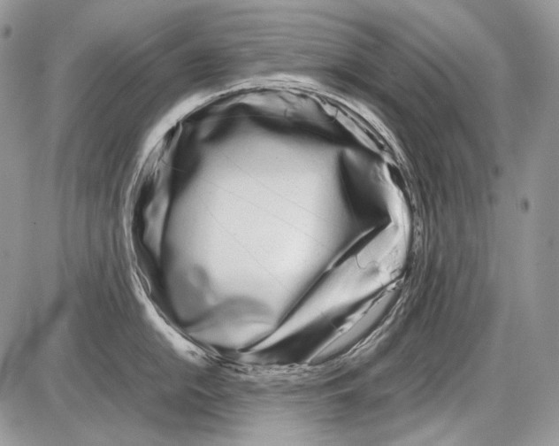 X0000086091054200704202211