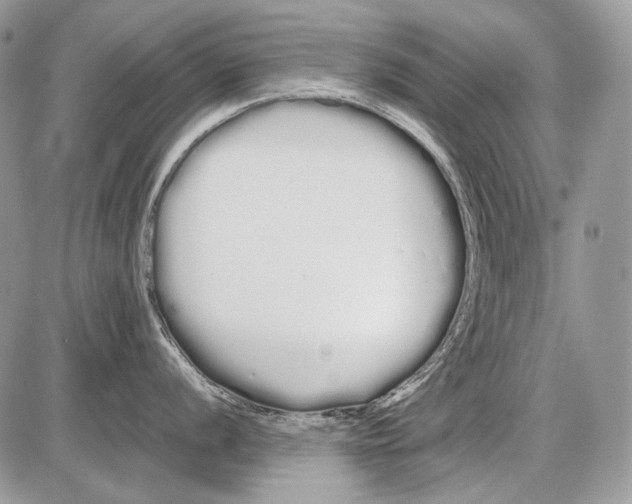 X0000086091056200704202211