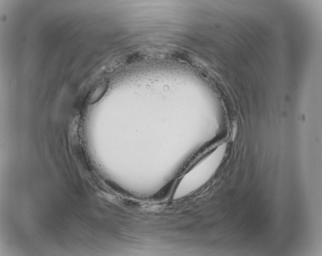 X0000086091059200704202210