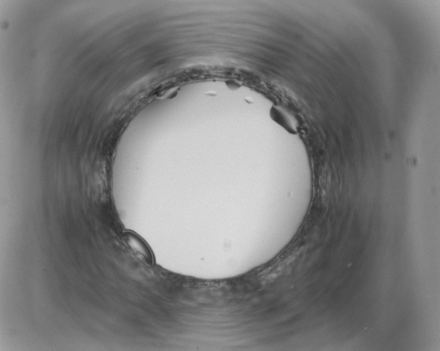 X0000086091062200704202210