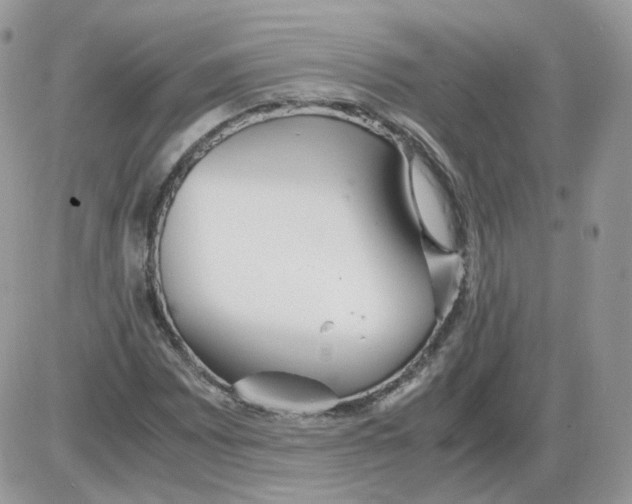 X0000086091065200704202210