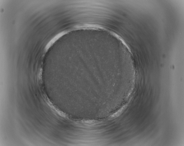 X0000086091066200704202210