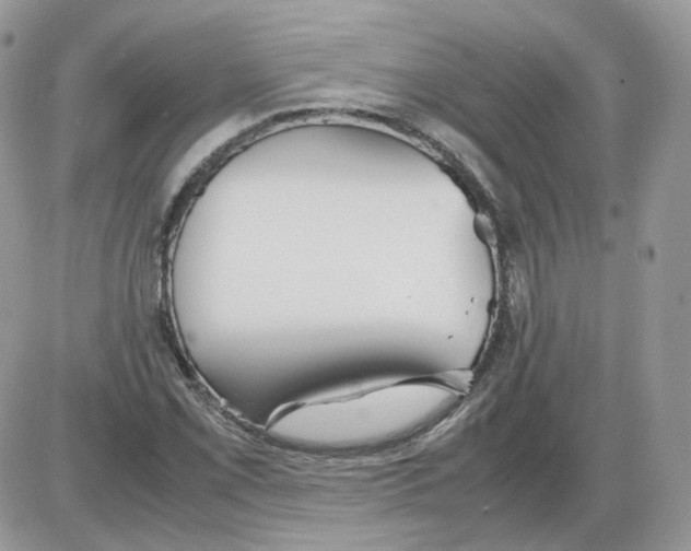 X0000086091069200704202210