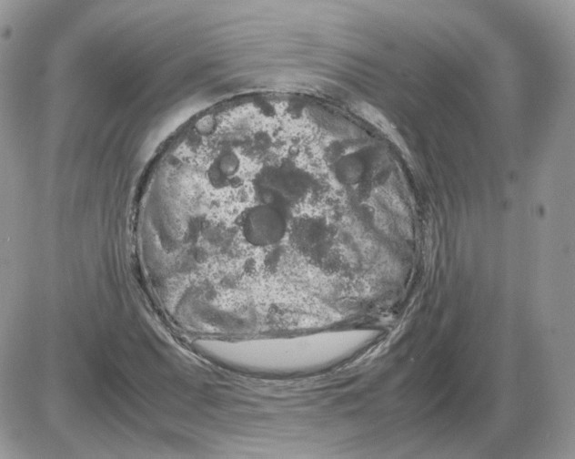 X0000086091071200704202210