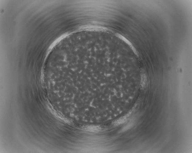 X0000086091074200704202210