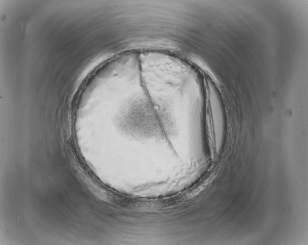 X0000086091079200704202210