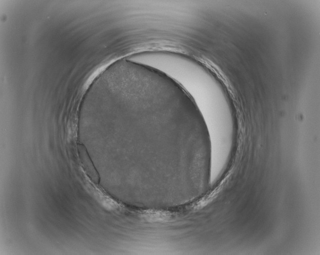 X0000086091081200704202210