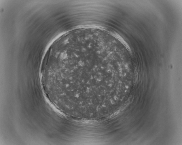 X0000086091084200704202210