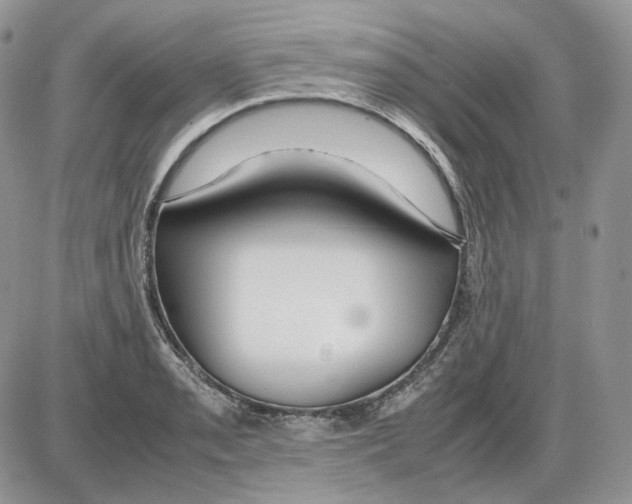 X0000086091085200704202210