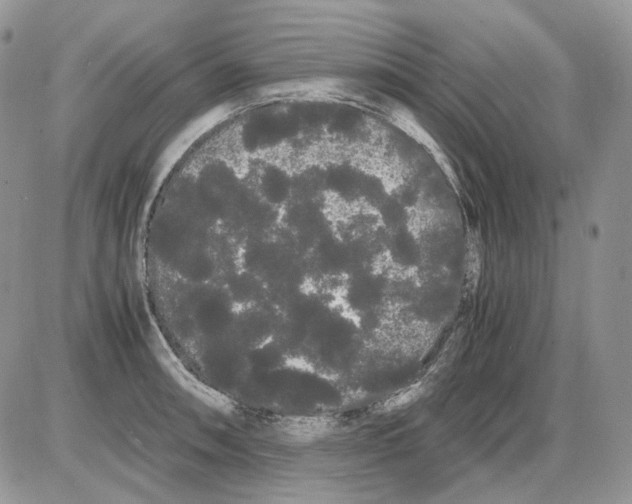 X0000086091090200704202210