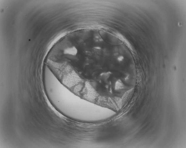 X0000086091095200704202210