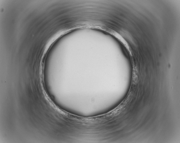 X0000086091096200704202210