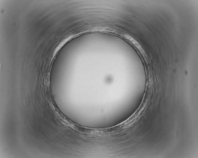 X0000086091097200704202210