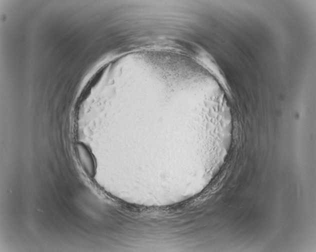 X0000086091099200704202210