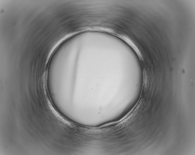 X0000086091100200704202210