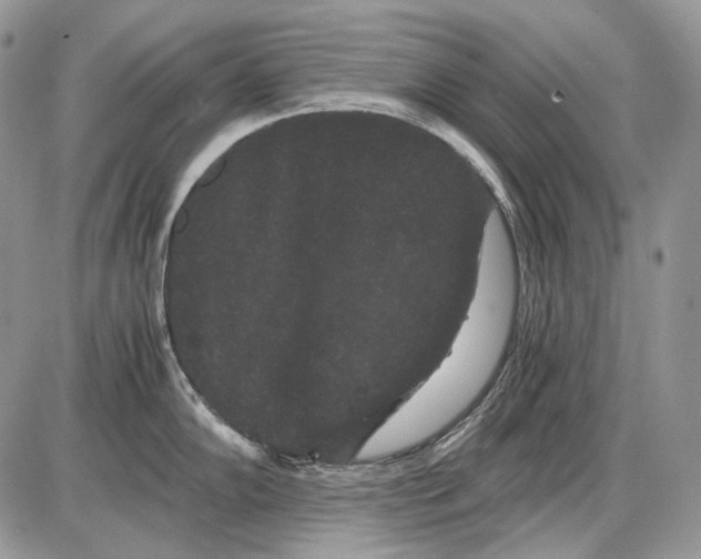 X0000086091102200704202210