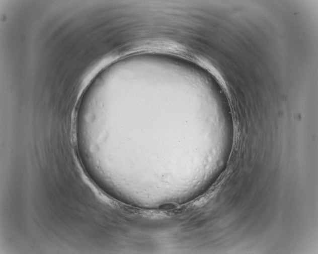 X0000086091103200704202210