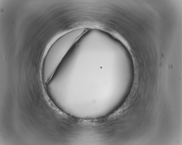 X0000086091104200704202210