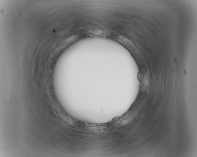 X0000086091105200704202209