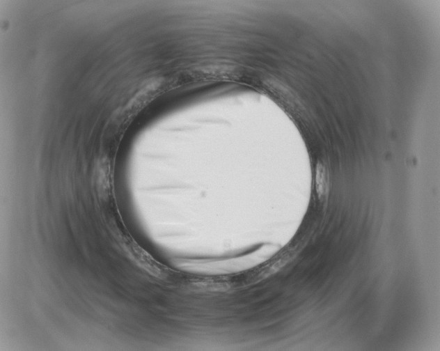 X0000086091107200704202209