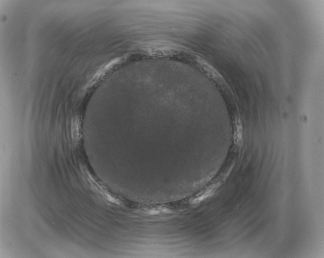 X0000086091108200704202209