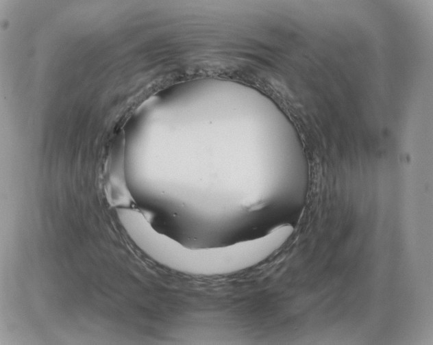 X0000086091109200704202209