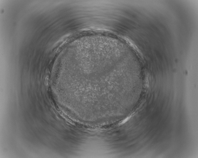 X0000086091110200704202209