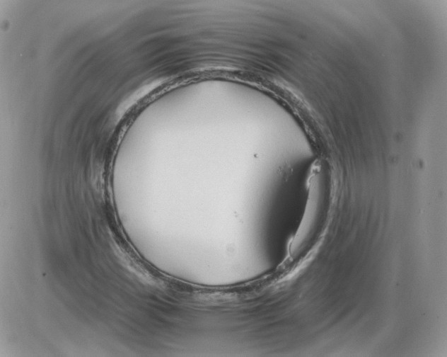 X0000086091113200704202209