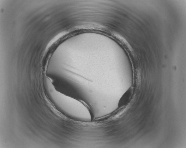 X0000086091114200704202209