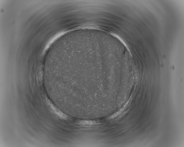 X0000086091115200704202209