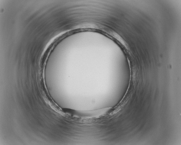 X0000086091116200704202209