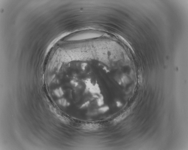 X0000086091117200704202209