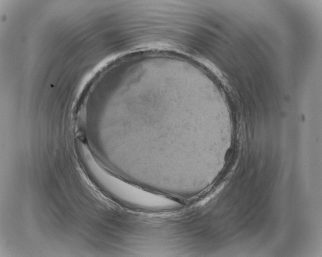 X0000086091118200704202209