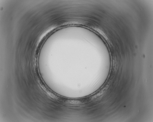 X0000086091119200704202209