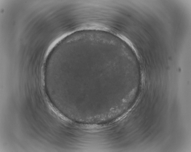 X0000086091120200704202209