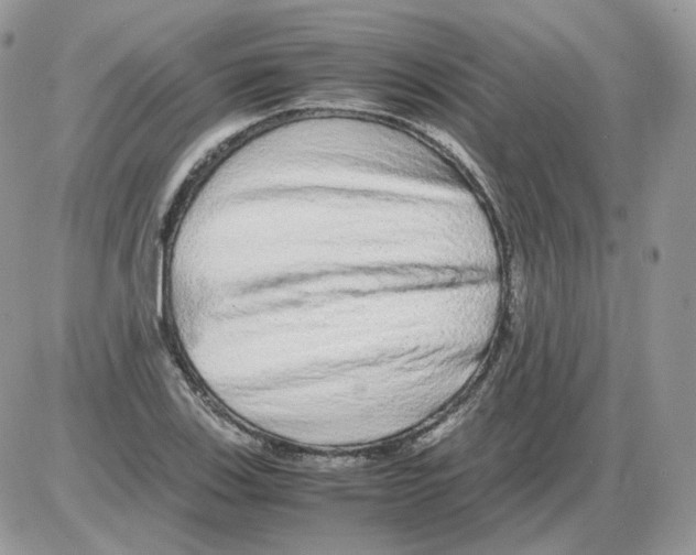 X0000086091123200704202209