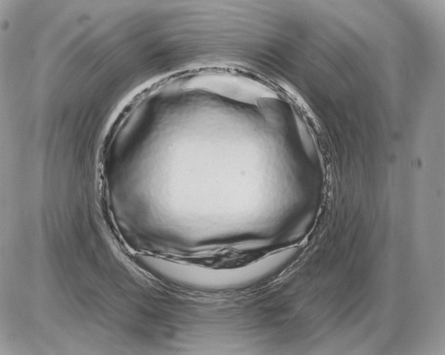 X0000086091124200704202209