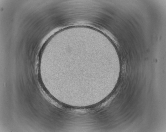 X0000086091126200704202209