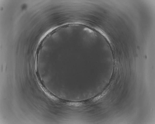 X0000086091127200704202209