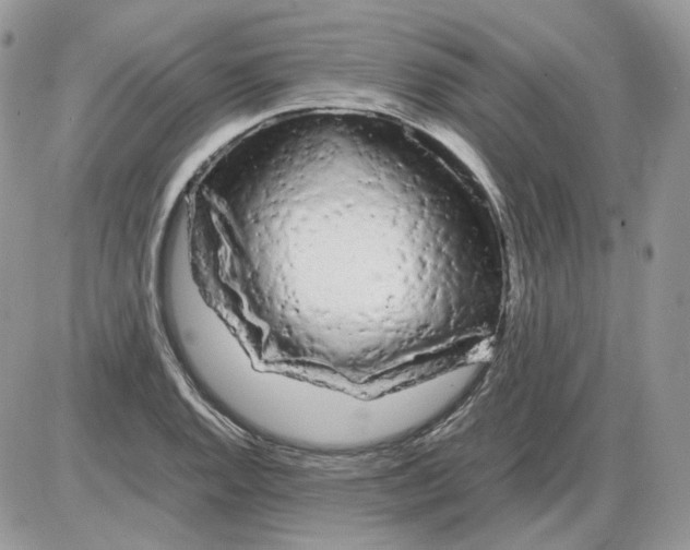 X0000086091128200704202209