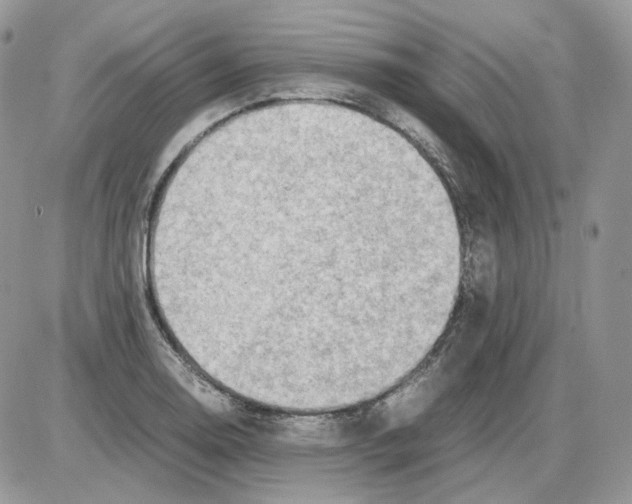 X0000086091130200704202209